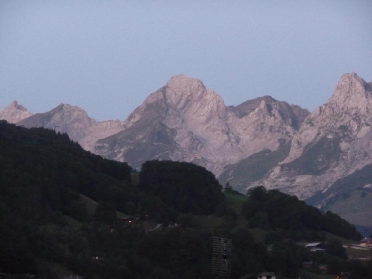 "Chalet Les Aravis" Chalet Et Appartements رون - ألب المظهر الخارجي الصورة