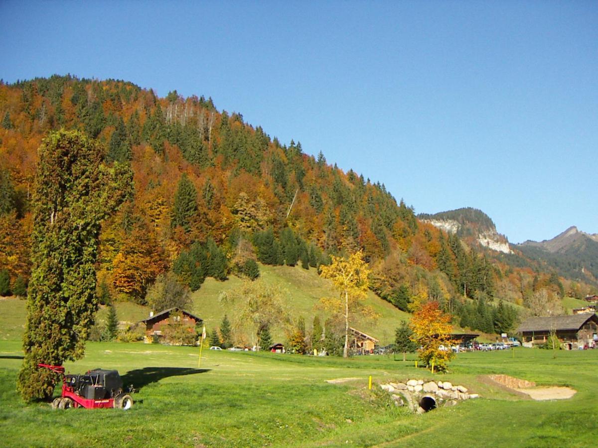 "Chalet Les Aravis" Chalet Et Appartements رون - ألب المظهر الخارجي الصورة