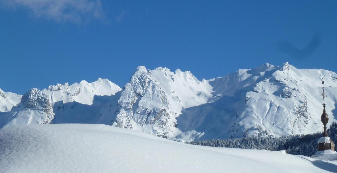 "Chalet Les Aravis" Chalet Et Appartements رون - ألب المظهر الخارجي الصورة
