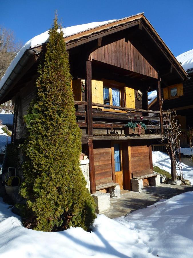 "Chalet Les Aravis" Chalet Et Appartements رون - ألب المظهر الخارجي الصورة